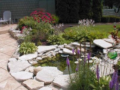 庭院水塘，靈動一方 12套農(nóng)村庭院水塘設計實例參考