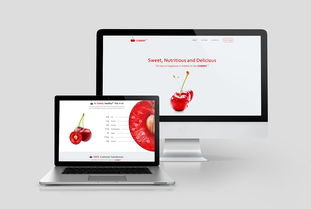 網(wǎng)頁設計合輯