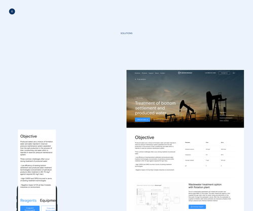俄羅斯能源清潔公司biomicrogel網站ui設計