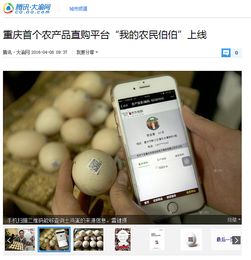 武漢互聯(lián)網(wǎng)農(nóng)產(chǎn)品公司網(wǎng)站開發(fā)中的設(shè)計與插畫應(yīng)用